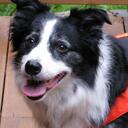 Scott Votaw - @svotaw - Twitter