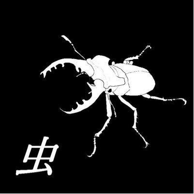 pbump0524's profile picture. 