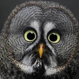 SUlnikovic's profile picture. 