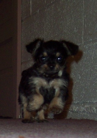 Rae777's profile picture. I am a teacher.