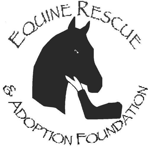 Non-profit, horse rescue in Florida.  Founded in 2010.