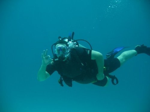 ALBERTODENNIS's profile picture. 