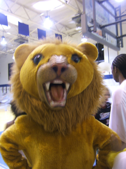ChicoTheLion's profile picture. Chico lived & played at Queen Anne School. Upper Marlboro, 1964-2011.  He now plays in the memories of  alumni & friends.