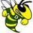 DHS_Hornets