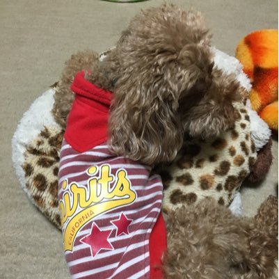 rescue_ryo0803's profile picture. 五商→国医一関 卒業  介護→病院救命士