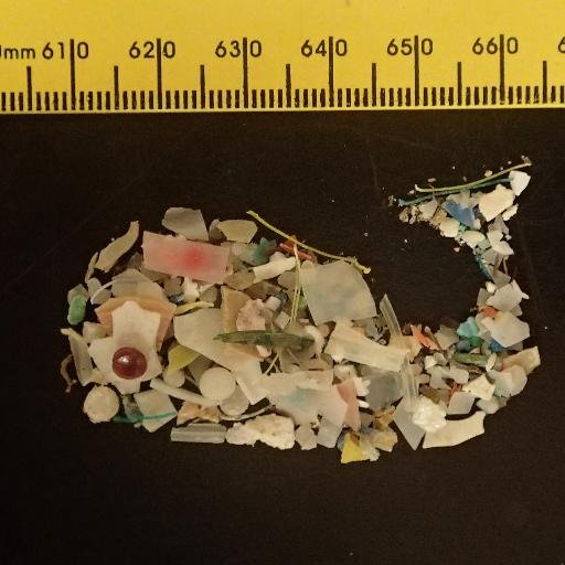 A scientist raising awareness of marine debris issues in the Gulf of Mexico and beyond! -The statements and opinions posted here are my own-