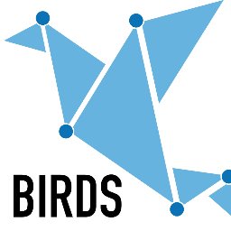 BIRDS MSCA RISE 2015 Project (H2020 EU project MSCA GA No 690941), Bioinformatics and Information Retrieval Data Structures Analysis and Design
