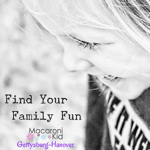 GettysHanMacKid's profile picture. Gettysburg and Hanover family friendly events!