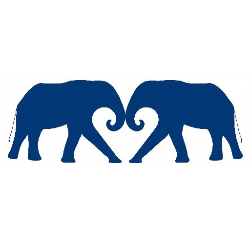 lovebrandco's profile picture. The British men's swimwear and lifestyle brand committed to helping save elephants #trunksfortrunks