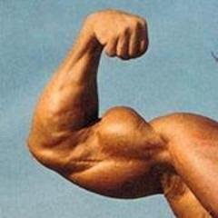 Giftsforspecial's profile picture. 