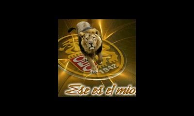 Pedro57602951's profile picture. 