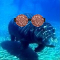 marinella (@marinellafly12) 's Twitter Profile Photo