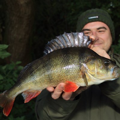 A midland angler with a love of English traditions ,music and the natural world.... And the odd pint ...or two