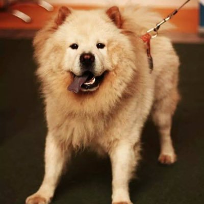 Frances69019701's profile picture. 