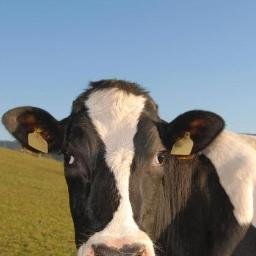 Recruitment has now finished! University of Glasgow study offering a free online resource to the UK farming community with symptoms of low mood &/or stress