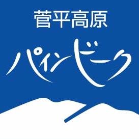 首都圏から200ｋｍ、約３時間の晴天率抜群のスキー場。人口降雪でいつでも最高の圧雪バーン。多彩なコースと最長2.8ｋｍのロングが魅力。