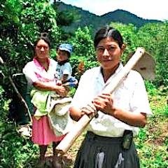 Project Harvest Guatemala empowers rural families through training in food security and women's leadership.