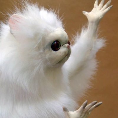 Original1Tanner's profile picture. ✌Stop with the Bullshit✌️