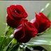 ابحث عنها خلق وجمال (@len_saad) Twitter profile photo ابحث عنها خلق وجمال (@len_saad) Twitter profile photo