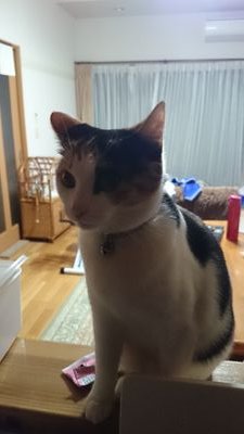 vWVIeCtC1lIyb6I's profile picture. 