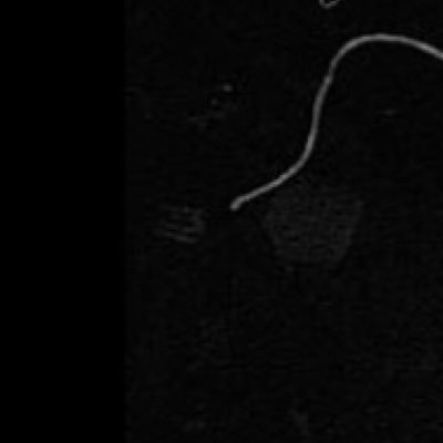 minero_angel's profile picture. 