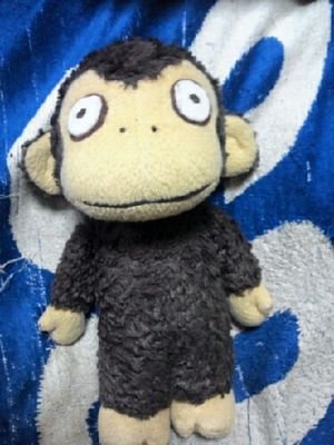 こりん(’ω’o(バイオレット)oさんのプロフィール画像