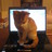 mervowski's profile image