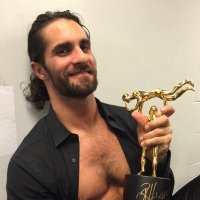 Seth F'N Rollins (@doloroustruth) Twitter profile photo