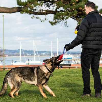 Thames Valley & Hampshire Police Puppy Socialiser-Ghost & Primus licensed PDs. Lifelong Pompey fan, Apple fanboy, tech-geek, heavy-metal lover, PS4 gamer