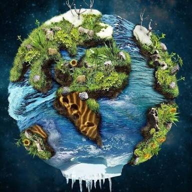 platonik_doga's profile picture. 