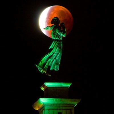 Suzana50714538's profile picture. 