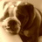 bobsped's profile image