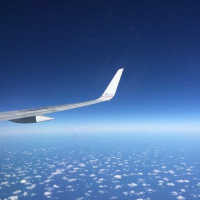 Sanshuiaifei's profile picture. 