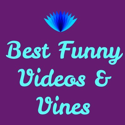 Vines best fun videos clearance