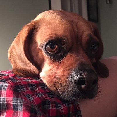 SaraBlacklock's profile picture. 