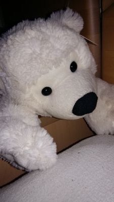 PolarsB's profile picture. 