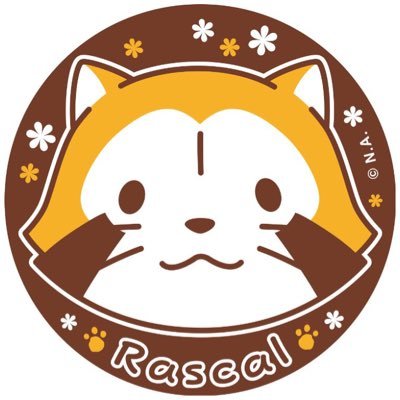 RaccoonRascaI's profile picture. ラスカル