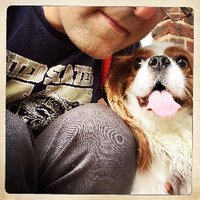Kevin (Kambiz) Tavana (@kambiztavanaus) 's Twitter Profile