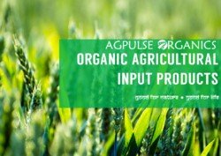 AgpulseOrganics's profile picture. Agpulse specialises in natural pre harvest and post harvest inputs developed from herb. Flagship product is #Shelflife Enhancer in Perishables 🌱🌾🌽🌺🌷🍓🍍