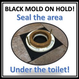 Covid19.   Protection for Plumbers  Homeowners- Our System seals & protects you from rot, mold and expsoure to covid19 type diseases when the toilet leaks.