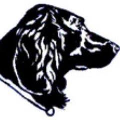 BlackDog_LogInc's profile picture. TRUST, TRANSPARENCY, RELIABILTY
