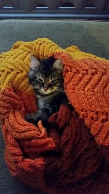 abbeybyrne6's profile picture. 