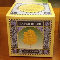 Tree in a Box (@treeinabox) 's Twitter Profile