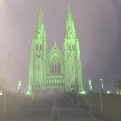 LaviniaMcgrath's profile picture. 