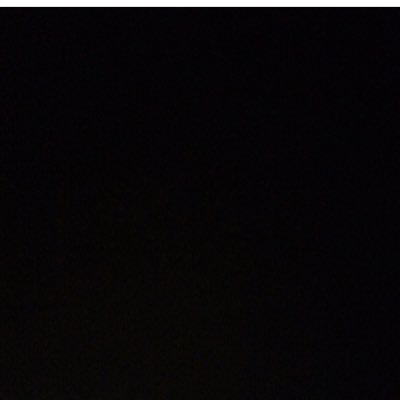 savagelarina's profile picture. 