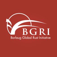 Borlaug Global Rust Initiative(@globalrust) 's Twitter Profile Photo