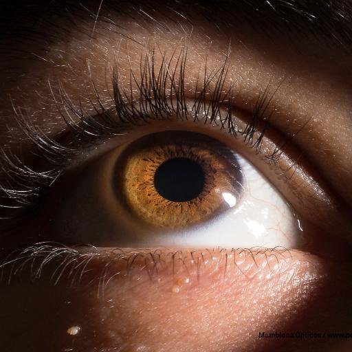 GonGalaico6's profile picture. 