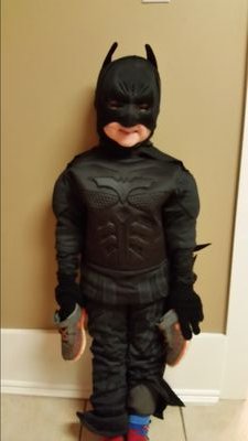 yyztampa's profile picture. 