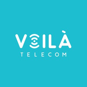 Voila Telecom is a leading global wholesale voice provider.
