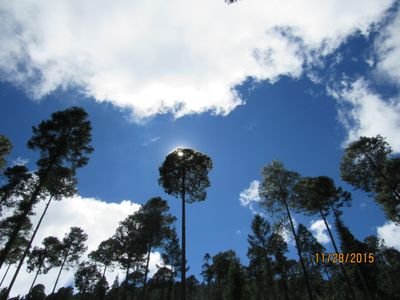 82jbp's profile picture. --